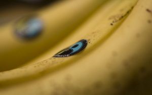 Fairtrade Bananas